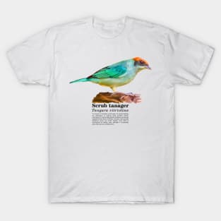 Scrub tanager tropical bird black text T-Shirt